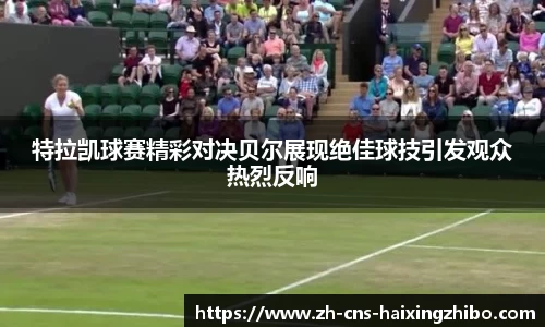 海星体育官网