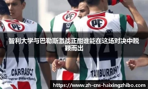 海星体育官网