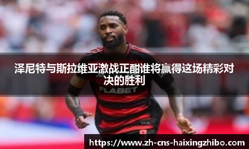 海星体育官网