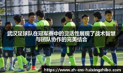 海星体育在线直播