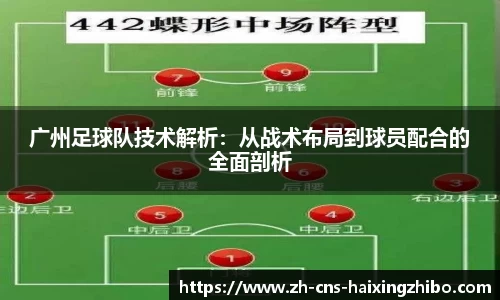 海星体育在线直播