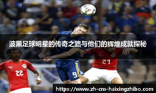 波黑足球明星的传奇之路与他们的辉煌成就探秘